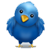 follow us on twitter